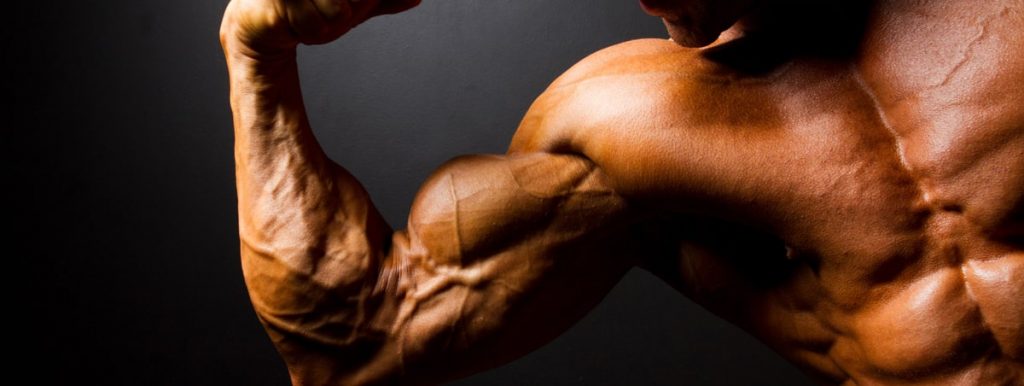 Let’s do bitsukha! How to effectively pump up your biceps?