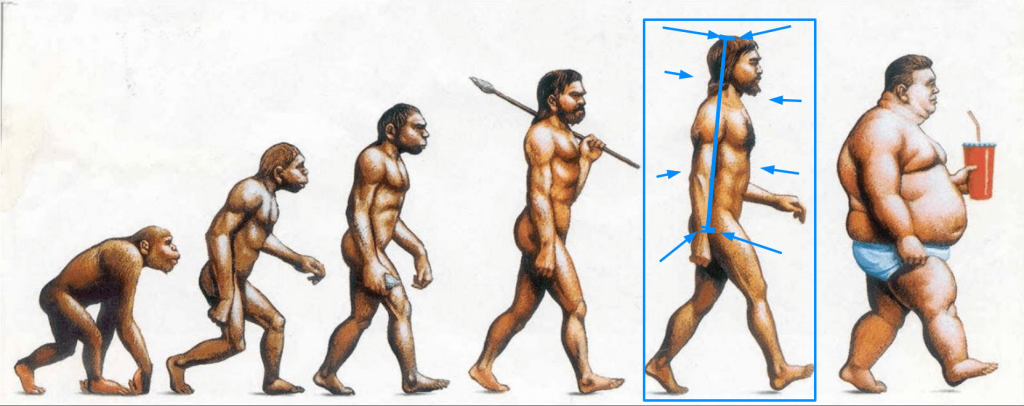 How to form correct posture and correct spinal curvature?